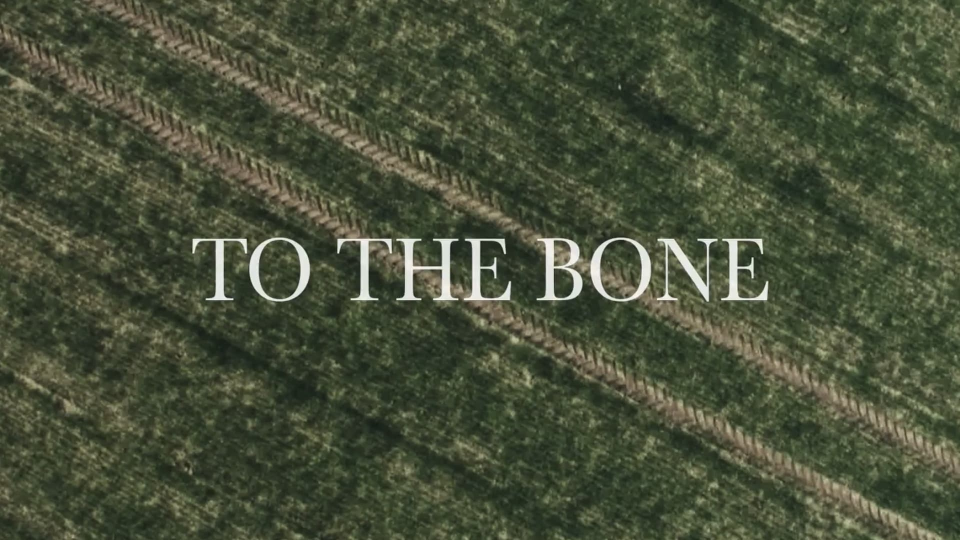 To The Bone รีวิวหนัง